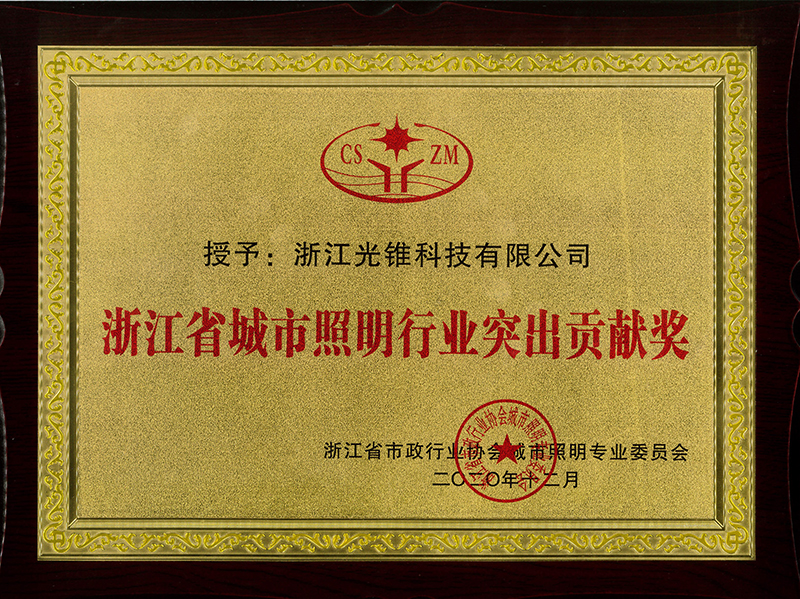 浙江省城市照明行业突出贡献奖